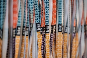 biz24-Web-1