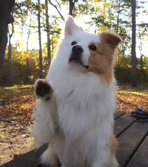 Expo-Website (1) (1)