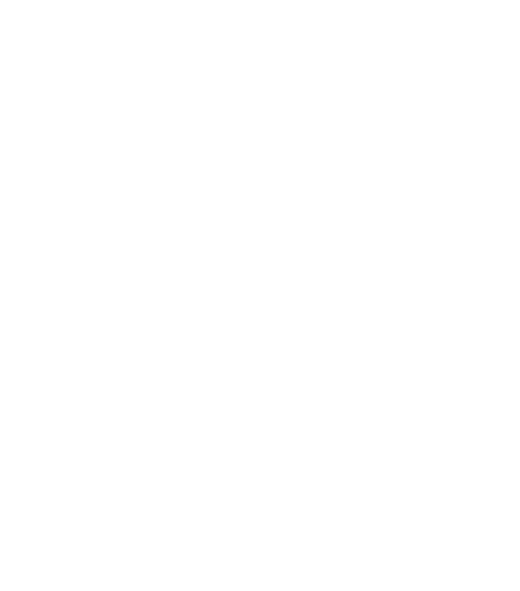 ICONS2-groß weiß