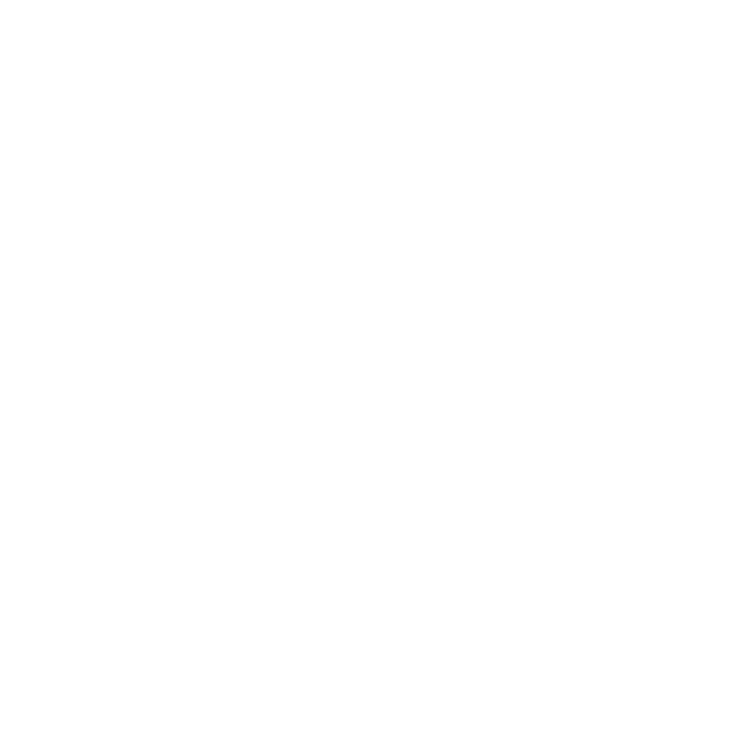 ICONS3-groß weiß