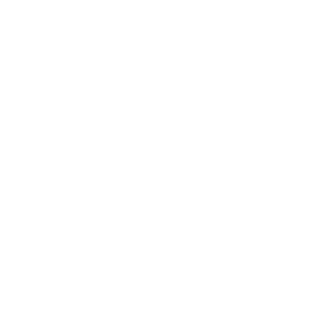 ICONS4-groß weiß