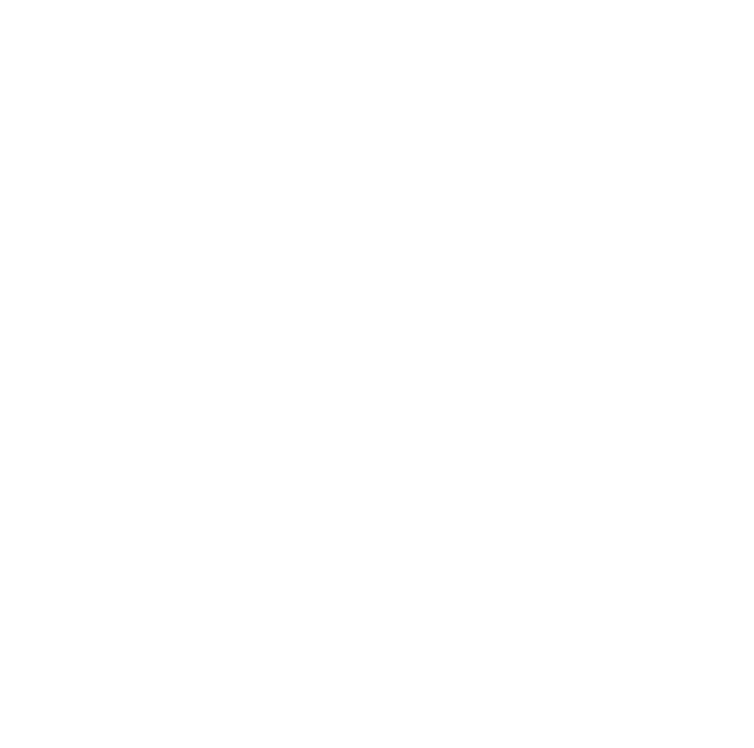 ICONS5-groß weiß